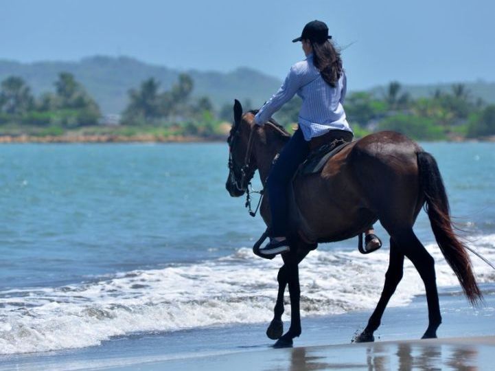 Paardrijden Colombia
