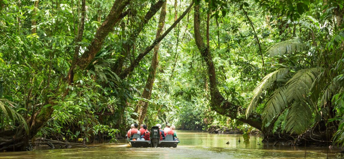 Tortuguero National Parc Costa Rica