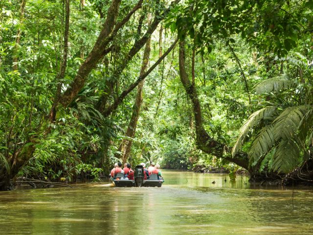 Tortuguero National Parc Costa Rica