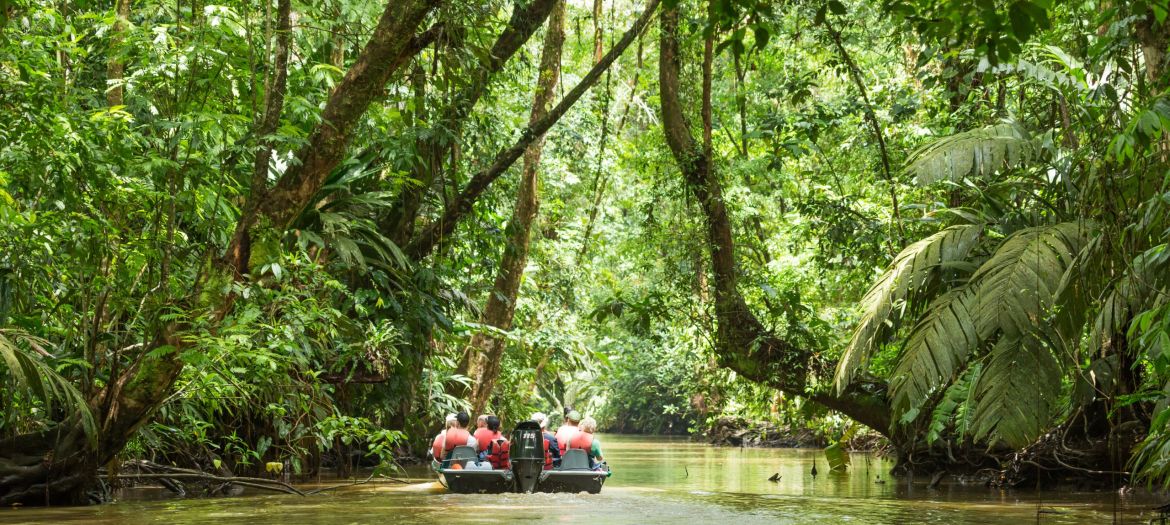 Tortuguero National Parc Costa Rica