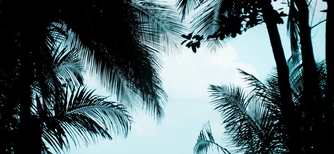 christian-holzinger-jDCcQ7EOevU-unsplash