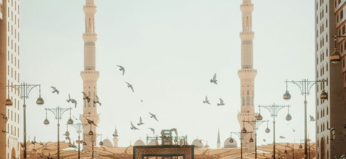 mohammed-shonar-iQ_cOTlR7wo-unsplash
